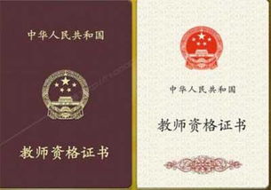 有了這7張證書(shū) 混職場(chǎng)簡(jiǎn)直如魚(yú)得水